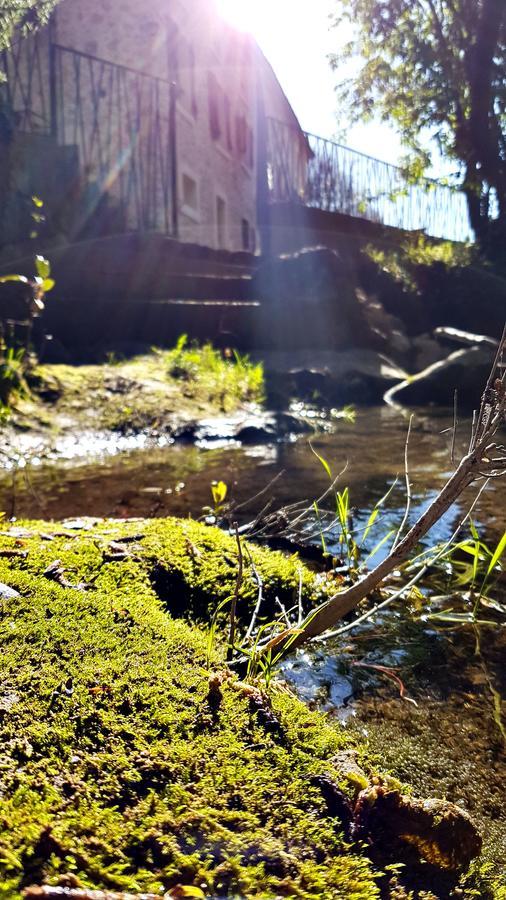 ホテル ル ムーラン カモウラ Saint-Jeannet  エクステリア 写真